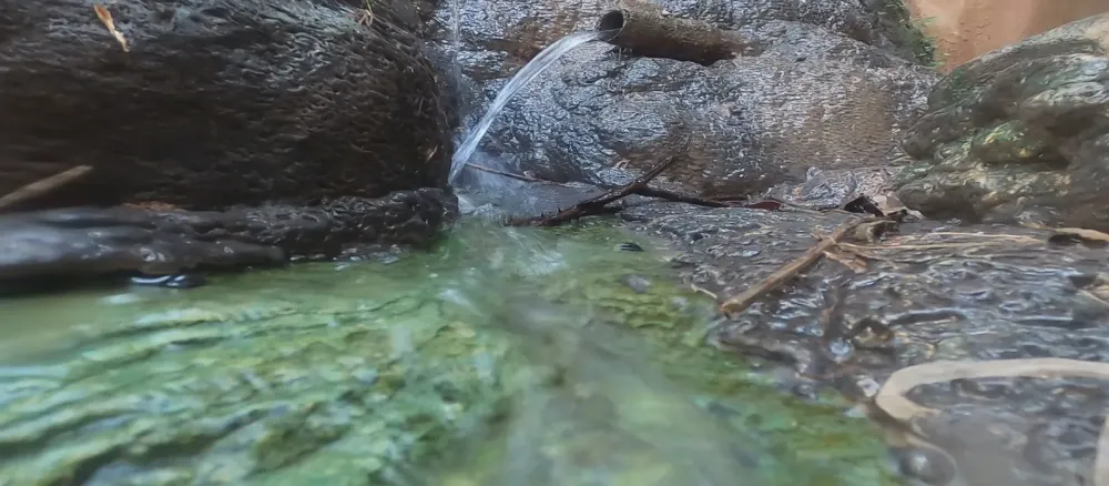 Exposici&oacute;n Multimedia Likuit Water Cultures en instituto Cervantes. Oran (Argel&iacute;a)